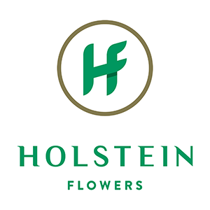 Holstein Flowers